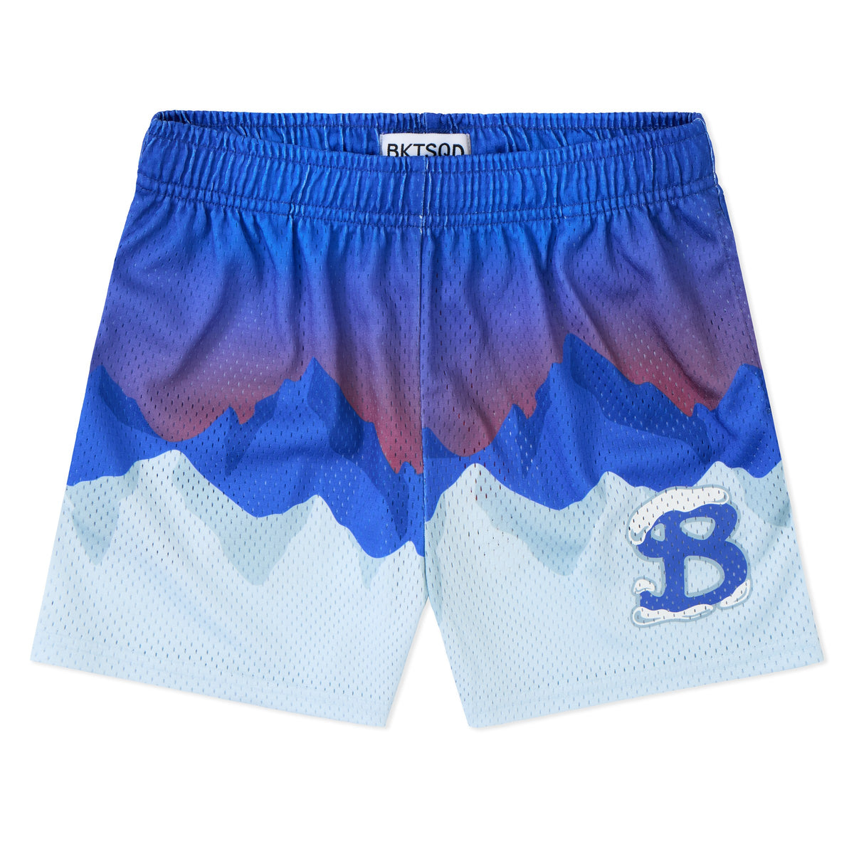 Youth Arctic Summit Shorts - front