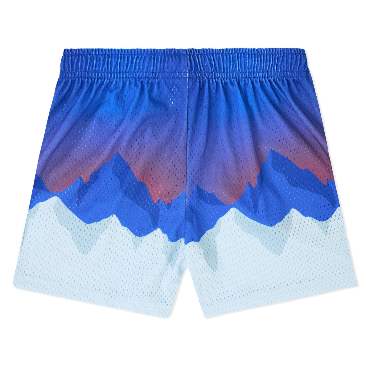 Youth Arctic Summit Shorts - back