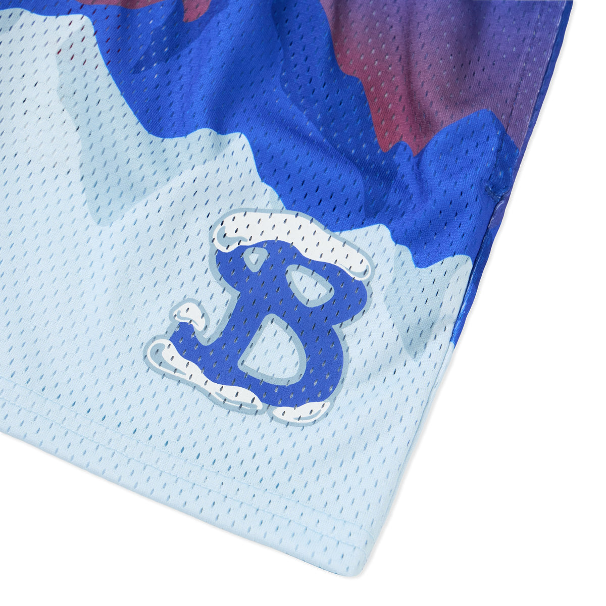 Youth Arctic Summit Shorts - detail