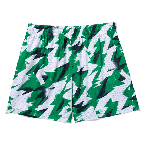 BOSTON CELTICS ENERGY SHORTS - back
