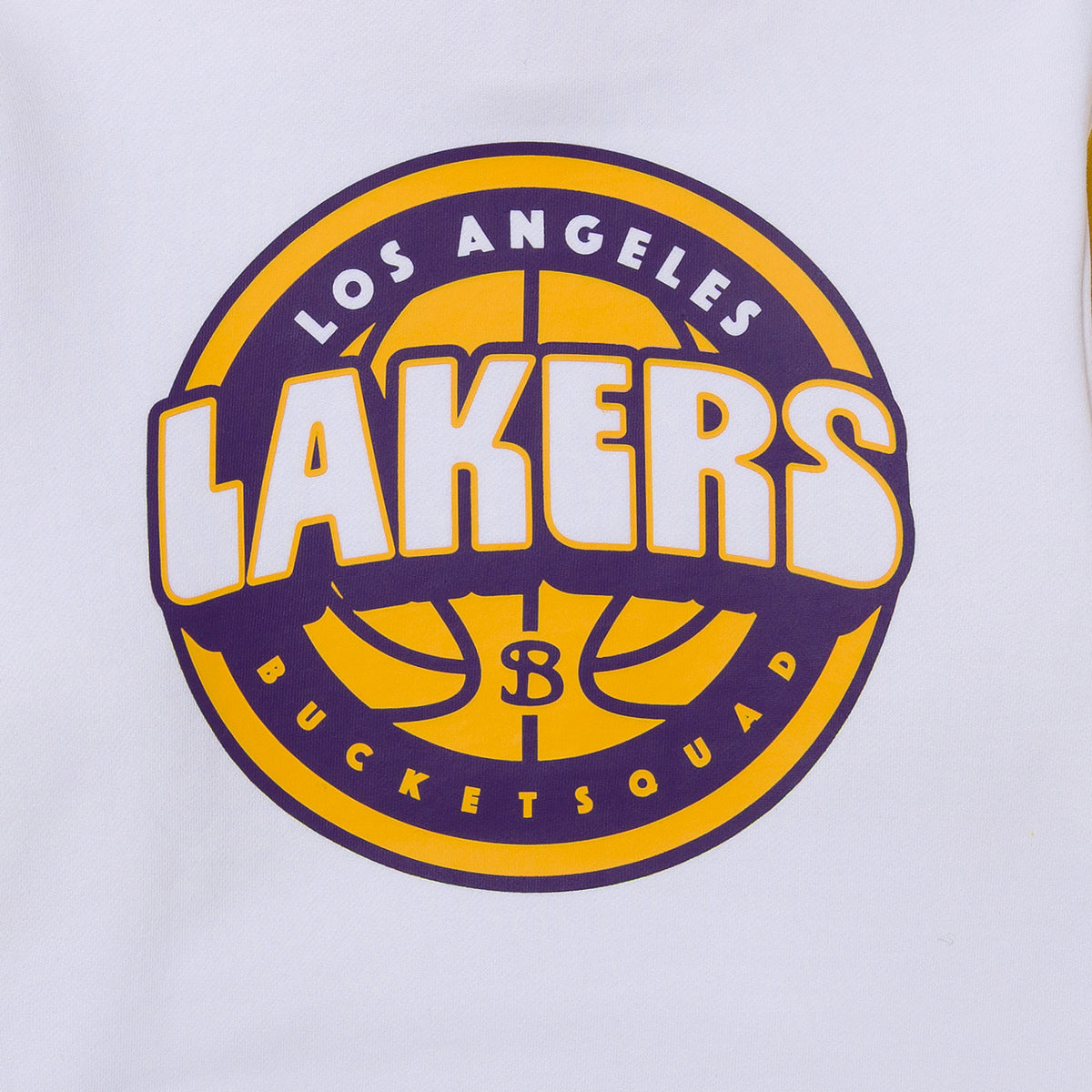 YOUTH LOS ANGELES LAKERS BADGE HOODIE - back detail