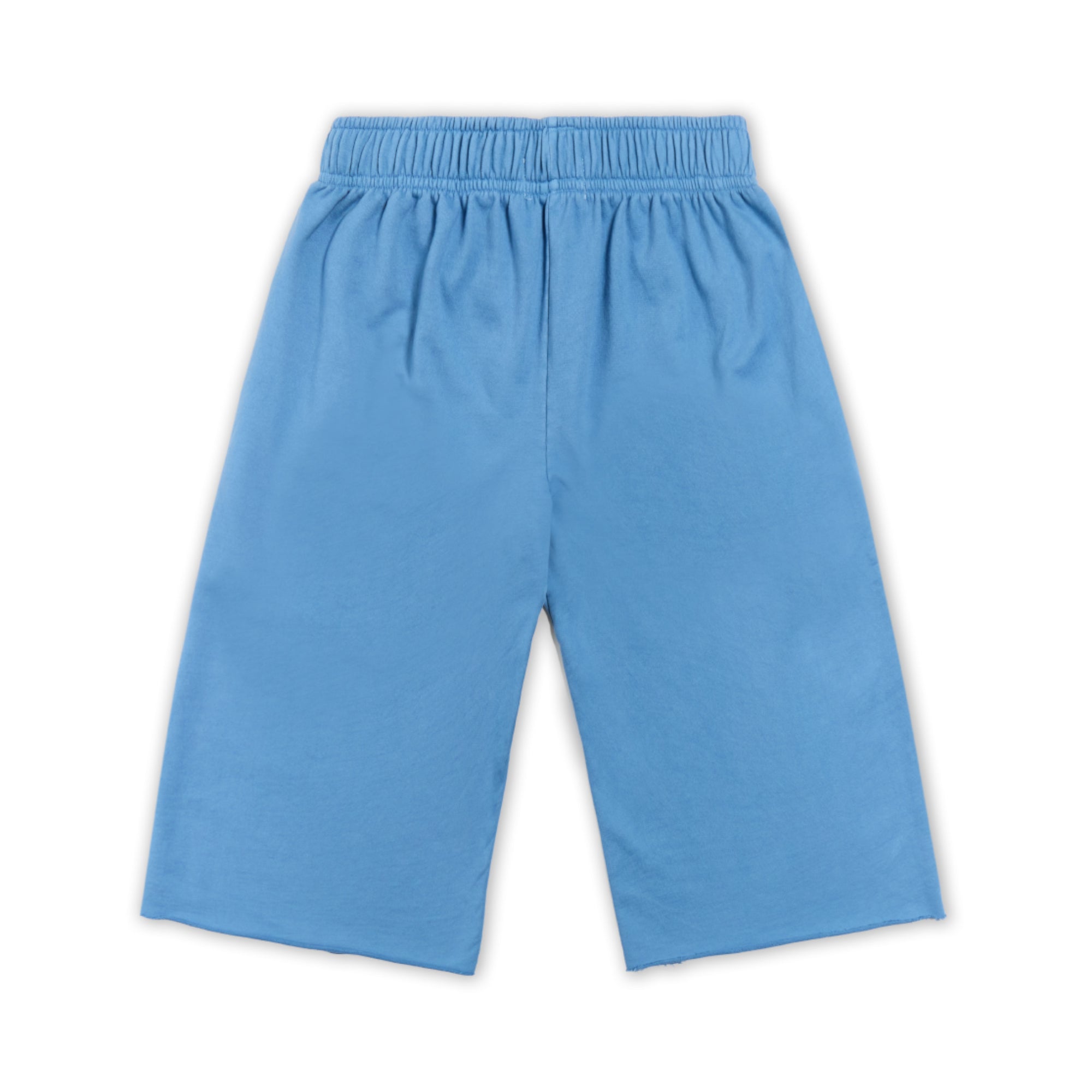 CORE CUTOFF SWEATSHORTS - BABY BLUE