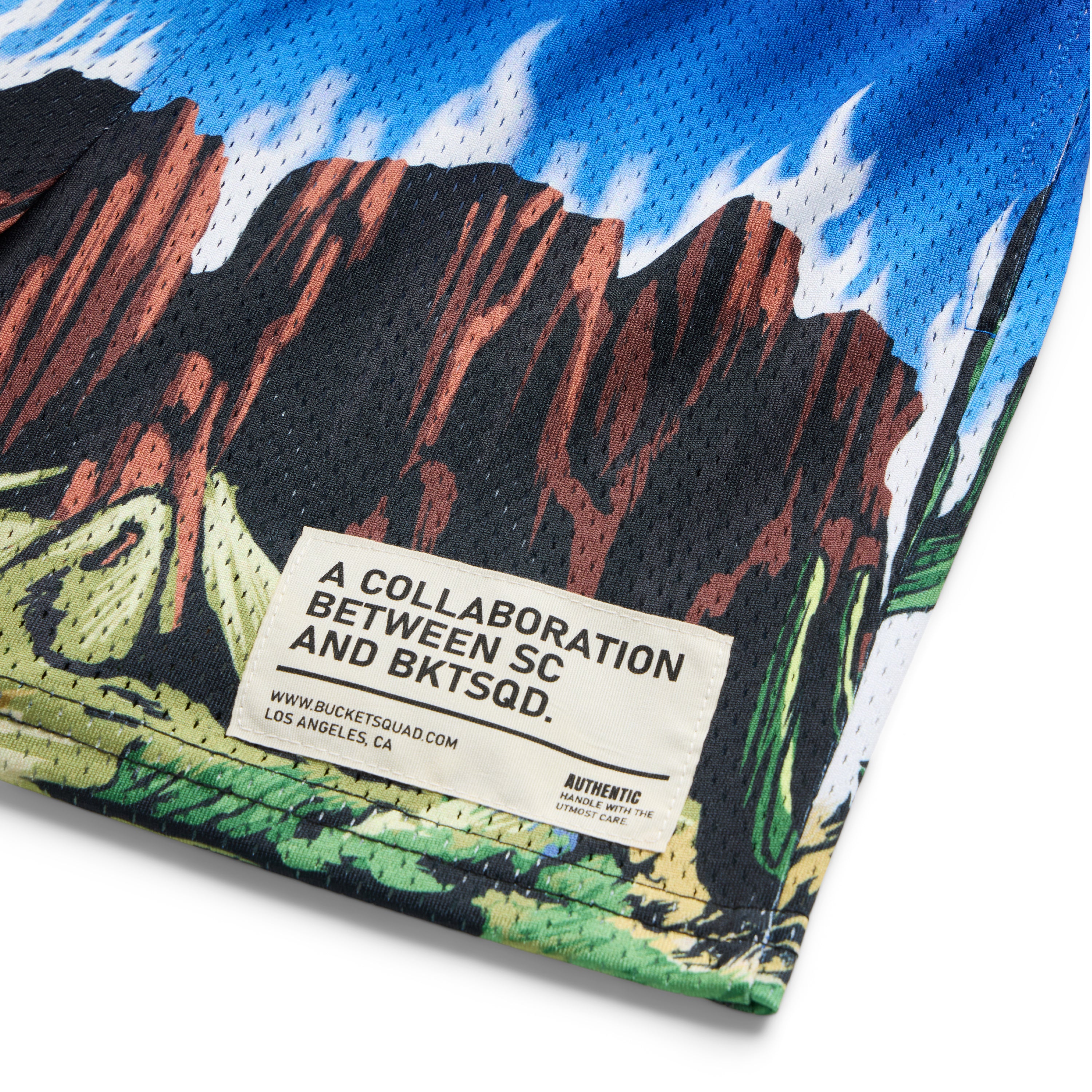 SC X BKTSQD LANDSCAPE YOUTH SHORTS