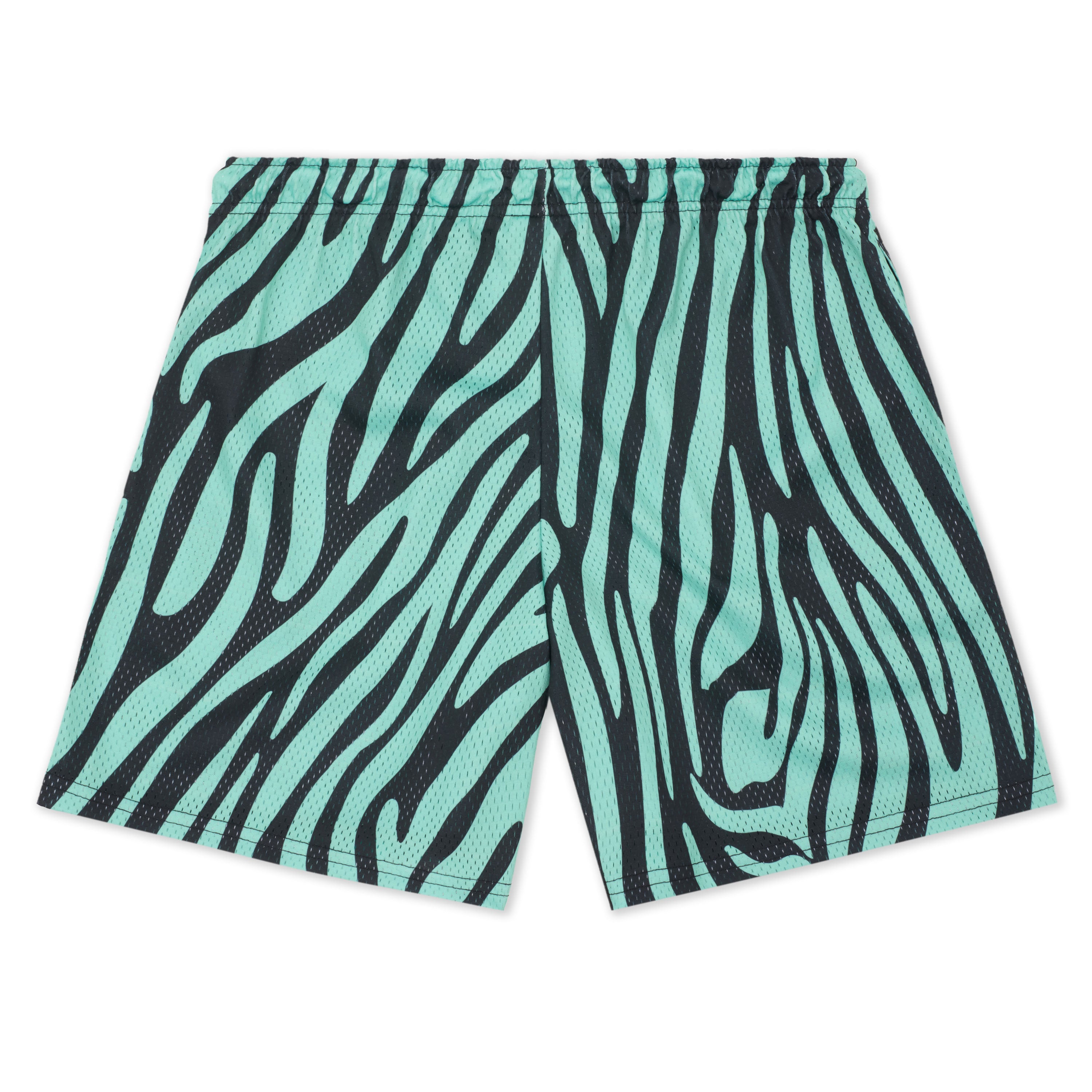 MINT ZEBRA SHORTS