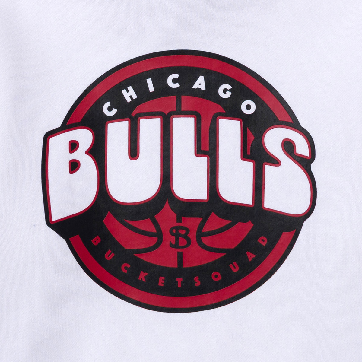 YOUTH CHICAGO BULLS BADGE HOODIE - back detail